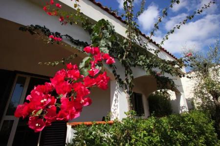 Residence Villantica - 304