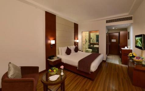 Lords Plaza Jaipur - 34