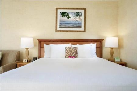 Waikiki Resort - 35