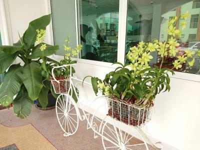 The Royal p Phuket - Sha Plus - 16