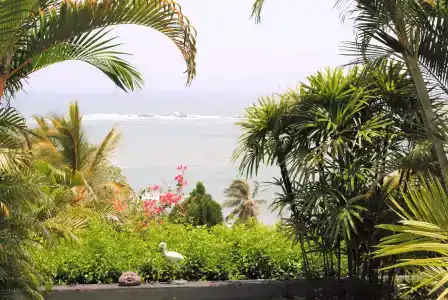 Panorama - 11