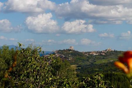 Poggio Al Vento - 30