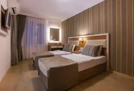 Lonicera City - 35