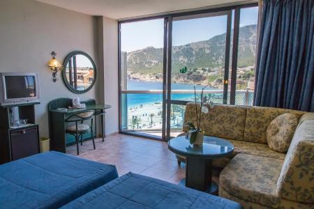 Kaktus Albir - 38