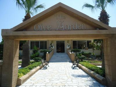 Olive Garden - 0