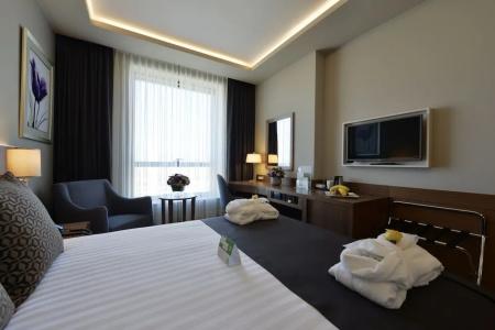 Holiday Inn Bursa - City Centre, An Ihg - 86