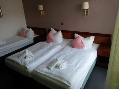 Lieth-Hotel-Grünreich - 5