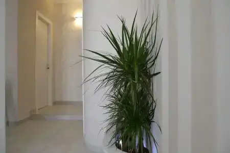 b&b Terra d'Oriente - 10