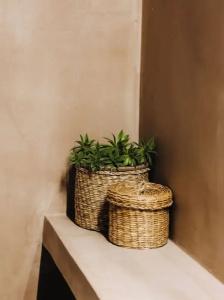 Orias Guesthouse & Farm - 13