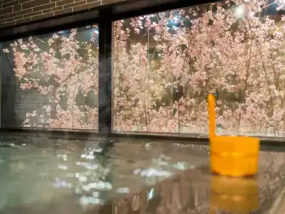 Super Lohas Ikebukuro-Eki Kitaguchi - 20