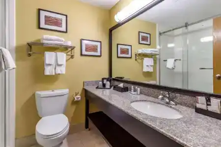 Comfort Inn & Suites - 45