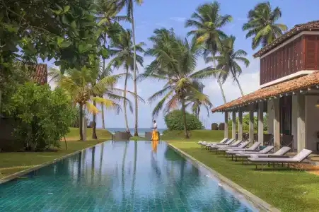 The Frangipani Tree by Edwards Collection - 14