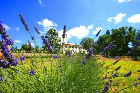 Cortona Resort & Spa - Villa Aurea - 11