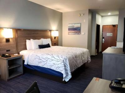 Best Western Plus San Antonio East Inn & Suites - 32
