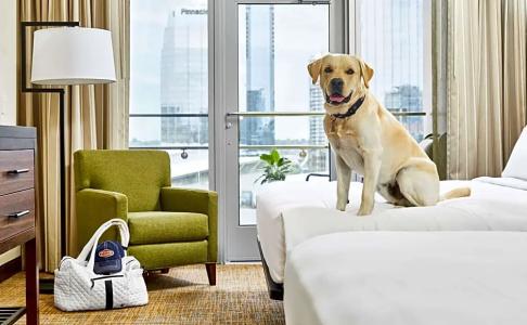 Embassy Suites by Hilton Nashville - 43