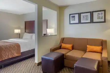 Comfort Inn & Suites SW Houston Sugarland - 50