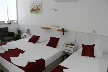 AelbİStan Otel - 3
