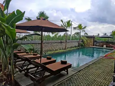 Paon Desa Ubud - 11