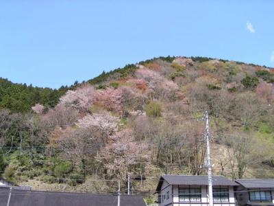 Irorino Yado Sankichi - 14