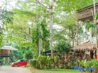Tamsabai - 65