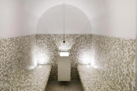 Art Gran Paradiso - 10