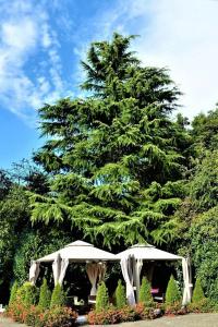 Ascot - 16