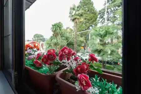 Адлерсон - 20