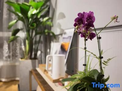 MUYE homestay - 71