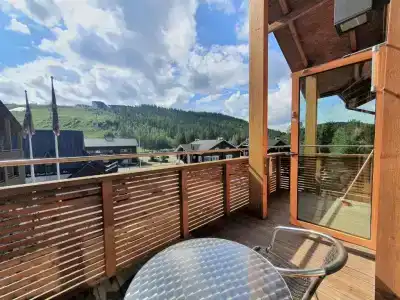 Levi Suites Levi Gold - 156