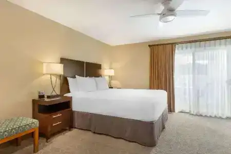 Best Western Plus Inn - 97