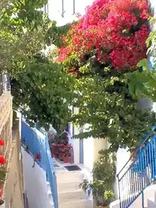 Panorama - 23