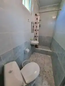 Зеленый дворик - 13
