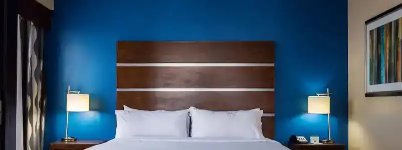 Holiday Inn Houston Downtown, An Ihg - 82
