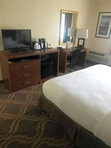 Ashmore Inn and Suites - 20
