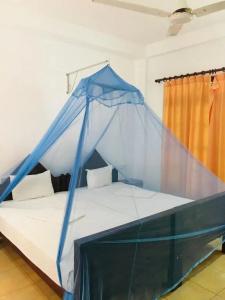 Ocean View - 34