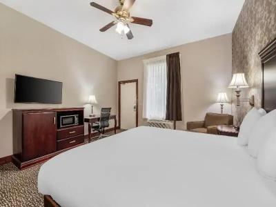 Quality Inn South - 79