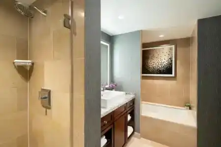 The Ritz-Carlton Atlanta - 99