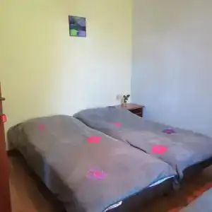 Tvishi Guest House - 2