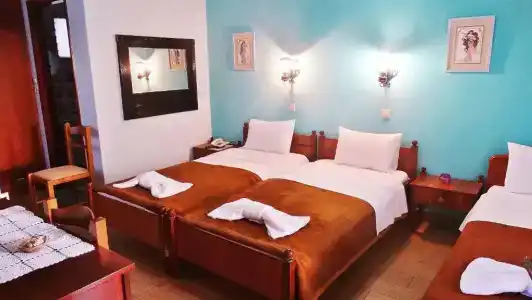 Athos Guest House Pansion - 22