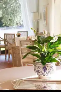 Villa Agnese - 16