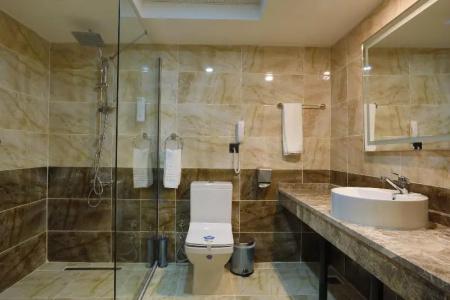 Karpalas City & Spa - 46