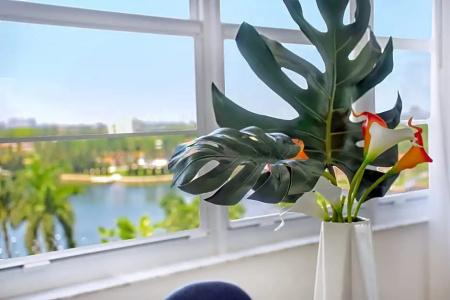 Seacoast Suites on Miami Beach - 241