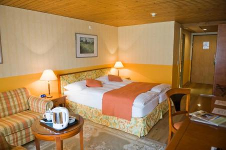 & Spa Silberhorn Wengen - 3