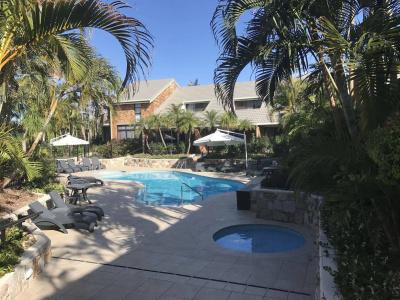 Glen Eden Beach - 14