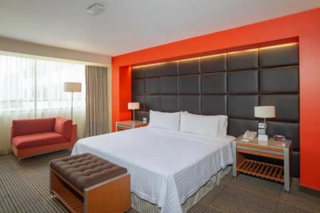 Holiday Inn Mexico City-Plaza Universidad, An Ihg - 61