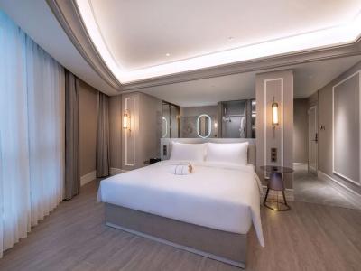 Mercure Shanghai Xujiahui South - 39