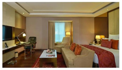Radisson Blu Jaipur - 22
