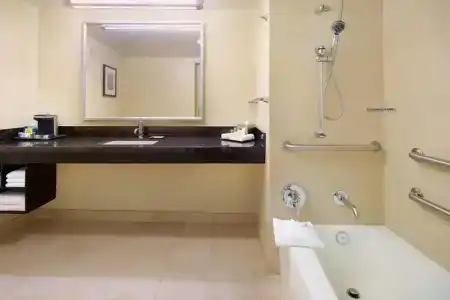Hilton Anaheim - 91
