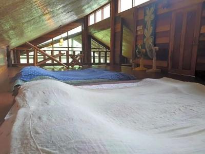 Chiang Dao Hut - 100