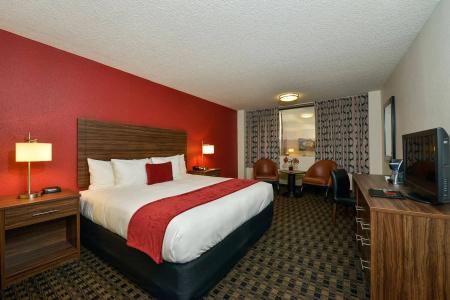 The d Las Vegas - 31